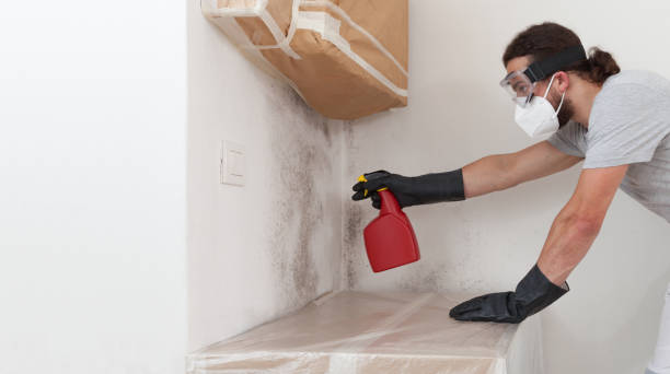 Professional Mold Remediation technician working in Hewlett, NY