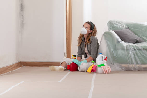 Reliable Mold Remediation contractor in Hewlett, NY by WQB Mold Removal